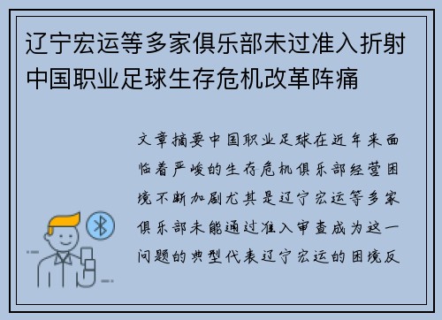 辽宁宏运等多家俱乐部未过准入折射中国职业足球生存危机改革阵痛